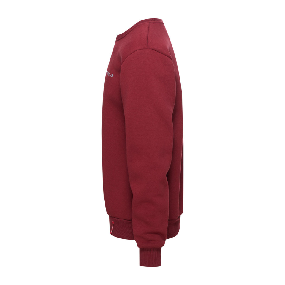 Bluza sportowa męska klasyczna  - TERABANE CAMPUS