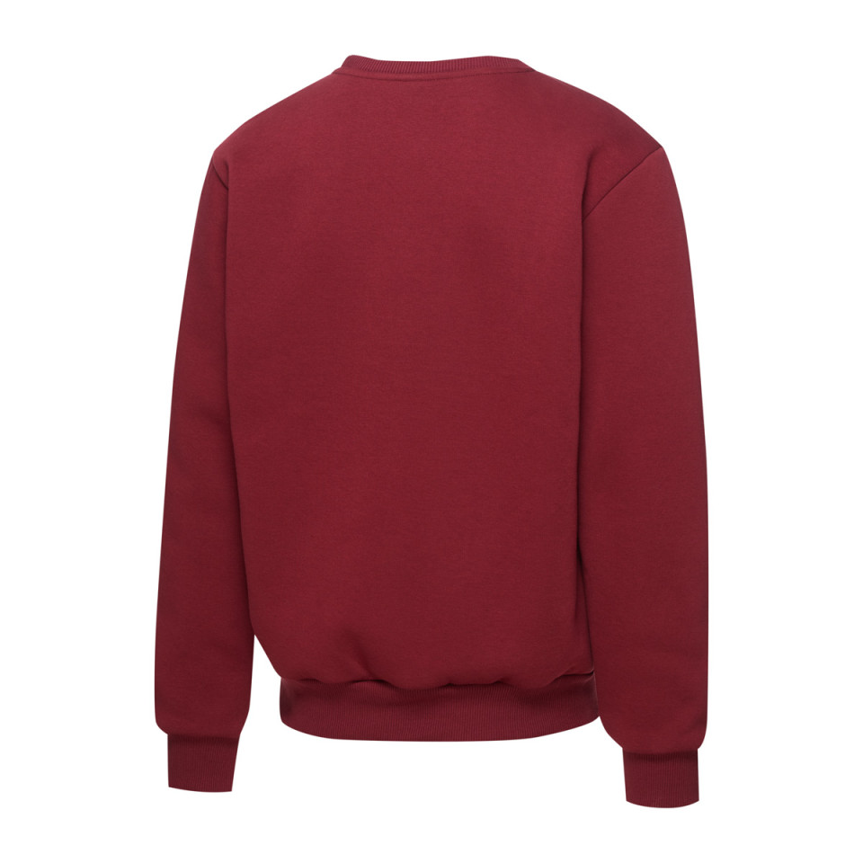 Bluza sportowa męska klasyczna  - TERABANE CAMPUS